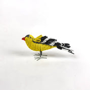 Beaded Finch