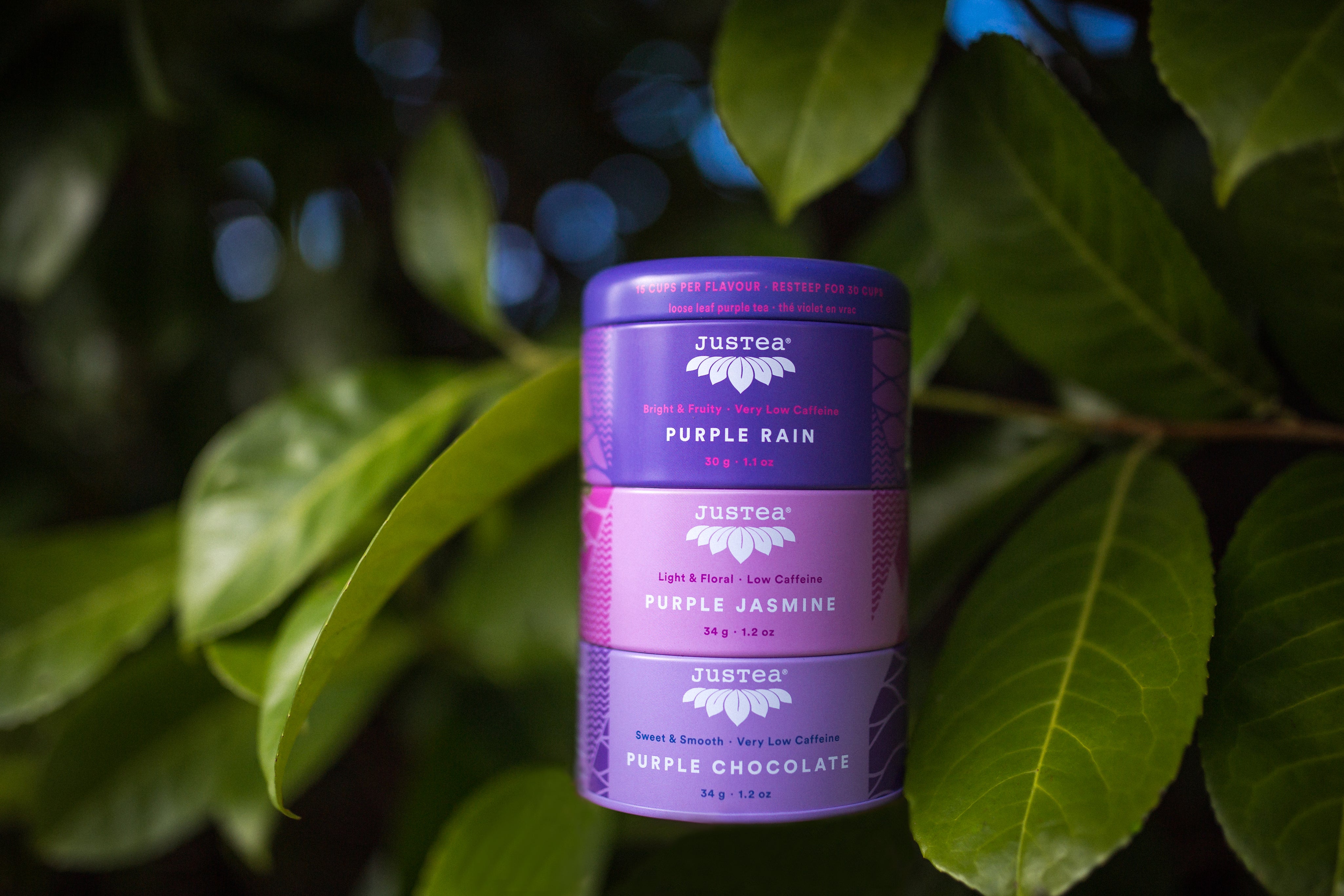 Purple Rain Loose Leaf Tea Trio - FMSCMarketplace.org