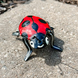 Oil Drum Ladybug