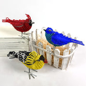 Beaded Bluebird