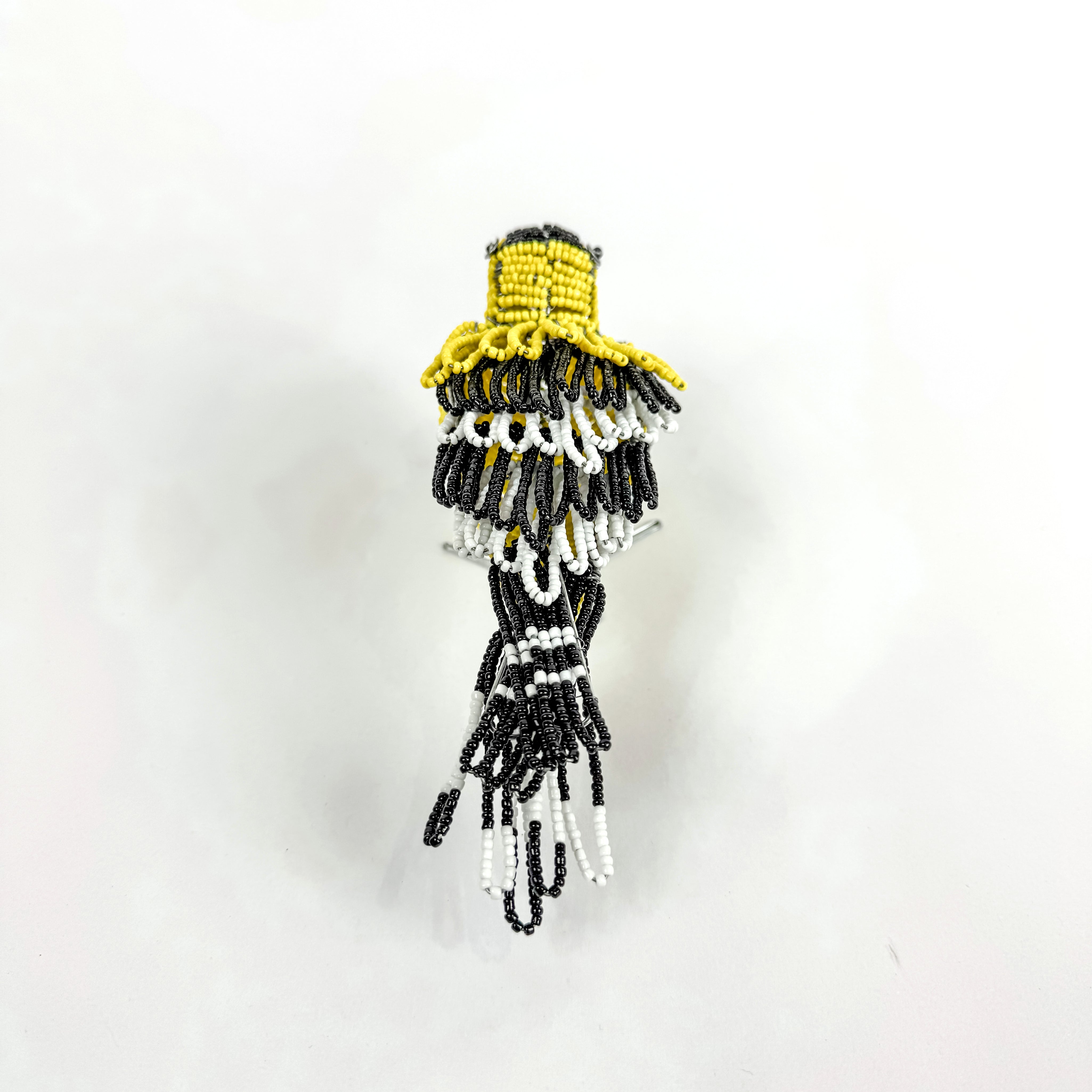 Beaded Finch