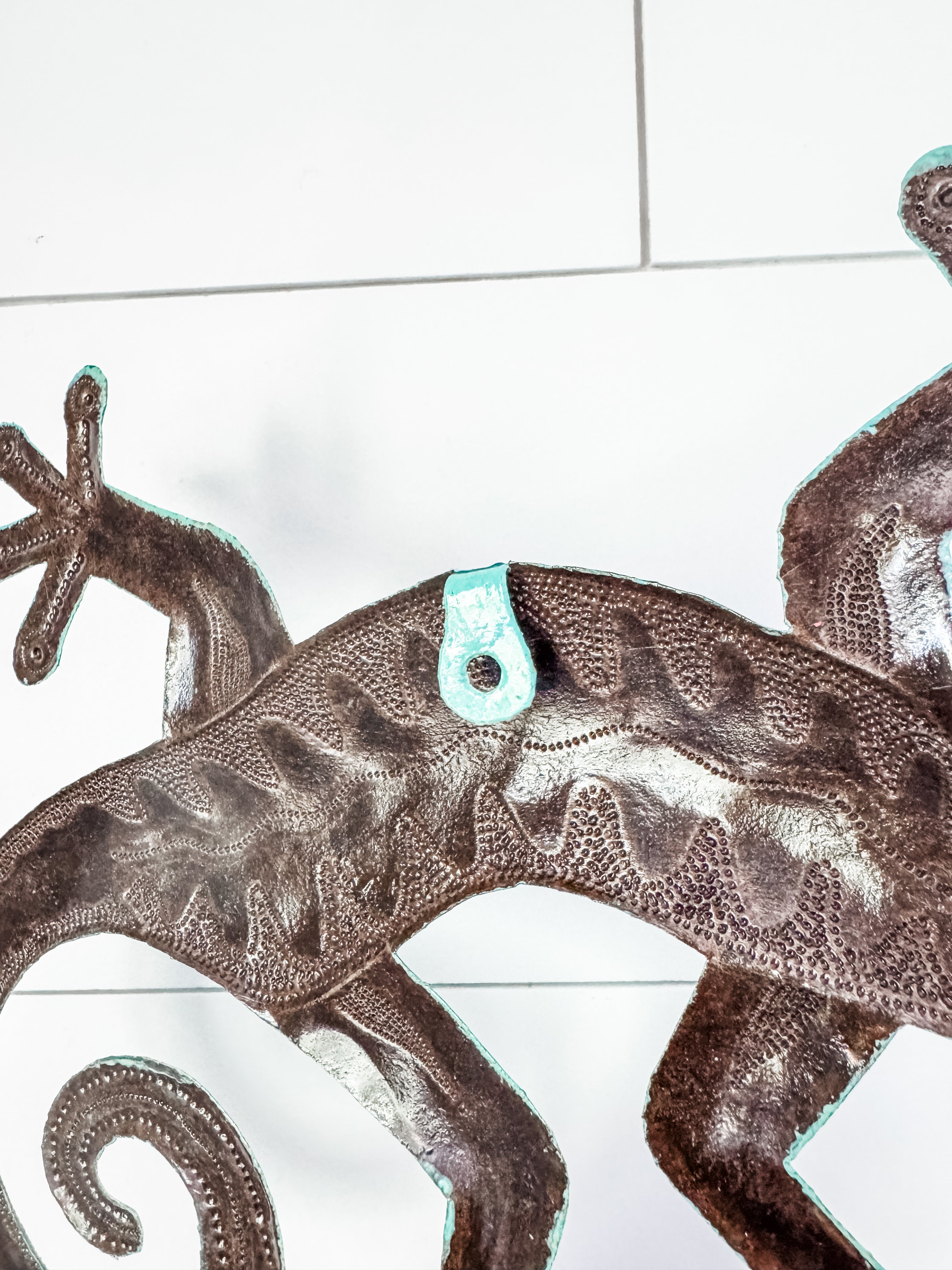 Wall Gecko