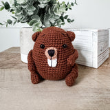 Bruno the Beaver