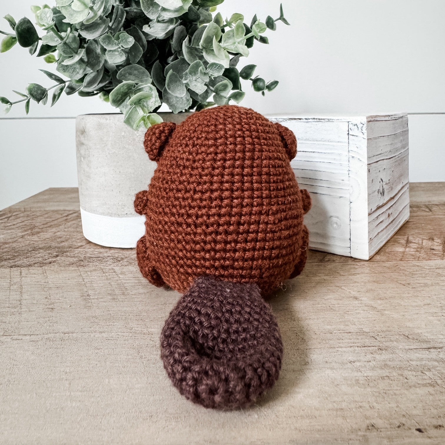 A crocheted plush toy shaped like a small brown beaver, shown from the back on a wooden surface with a potted eucalyptus plant and a white decorative box in the background.