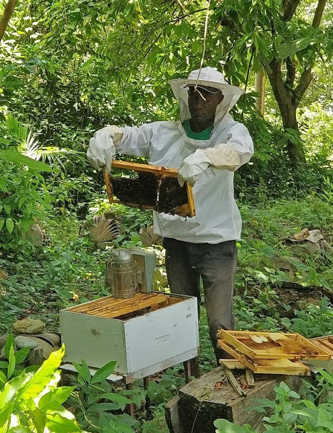 Citadelbeekeeping.jpg