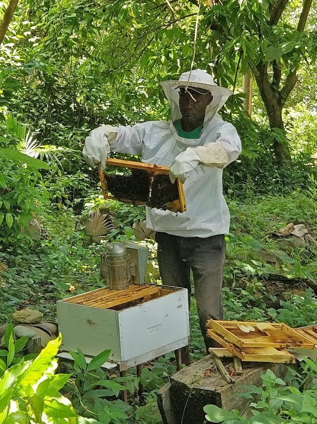 Person in a beekeeping suit working with honeycomb frames in a forest setting