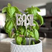 Potted basil plant with a decorative 'BASIL' plant stake crafted in Haiti.