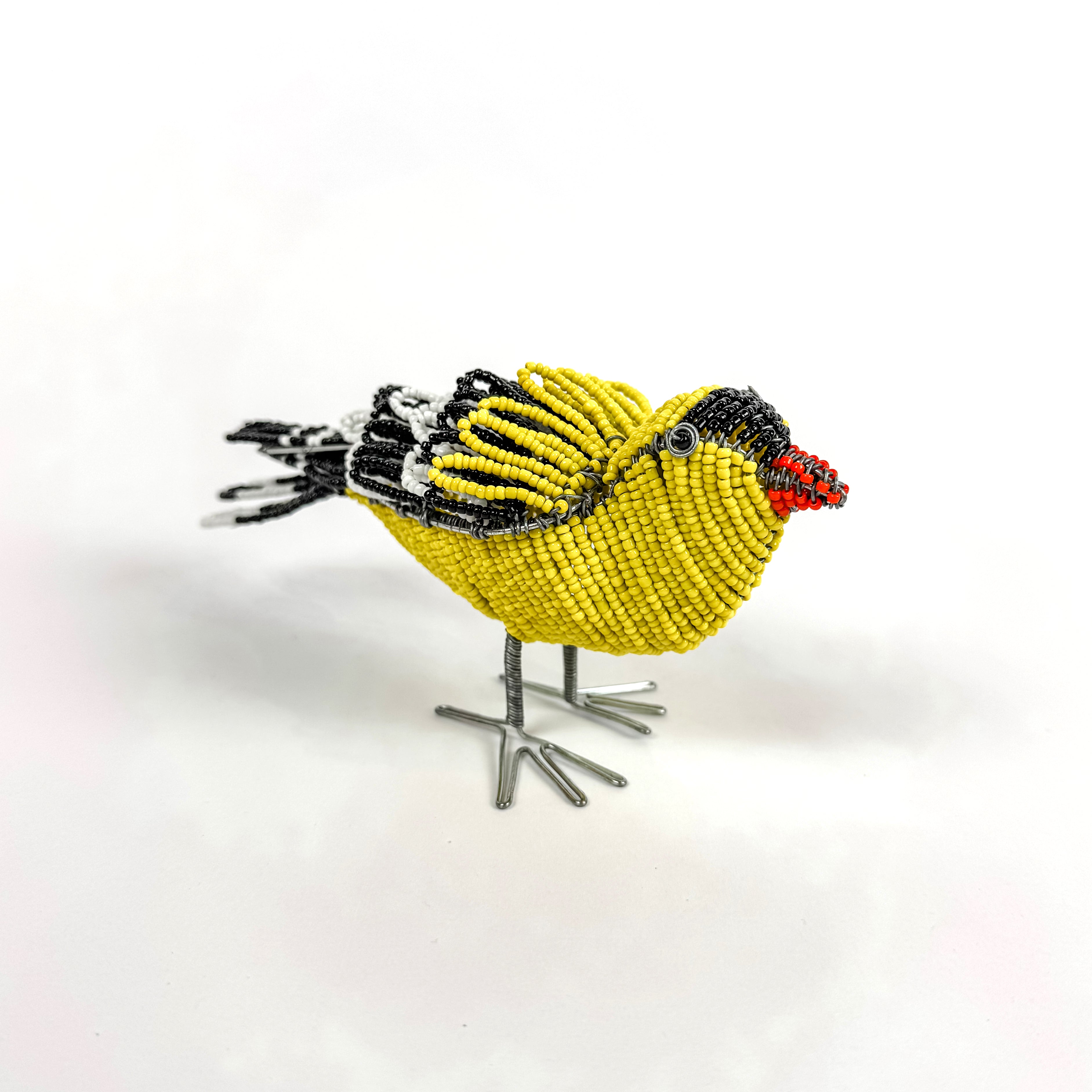 Beaded Finch