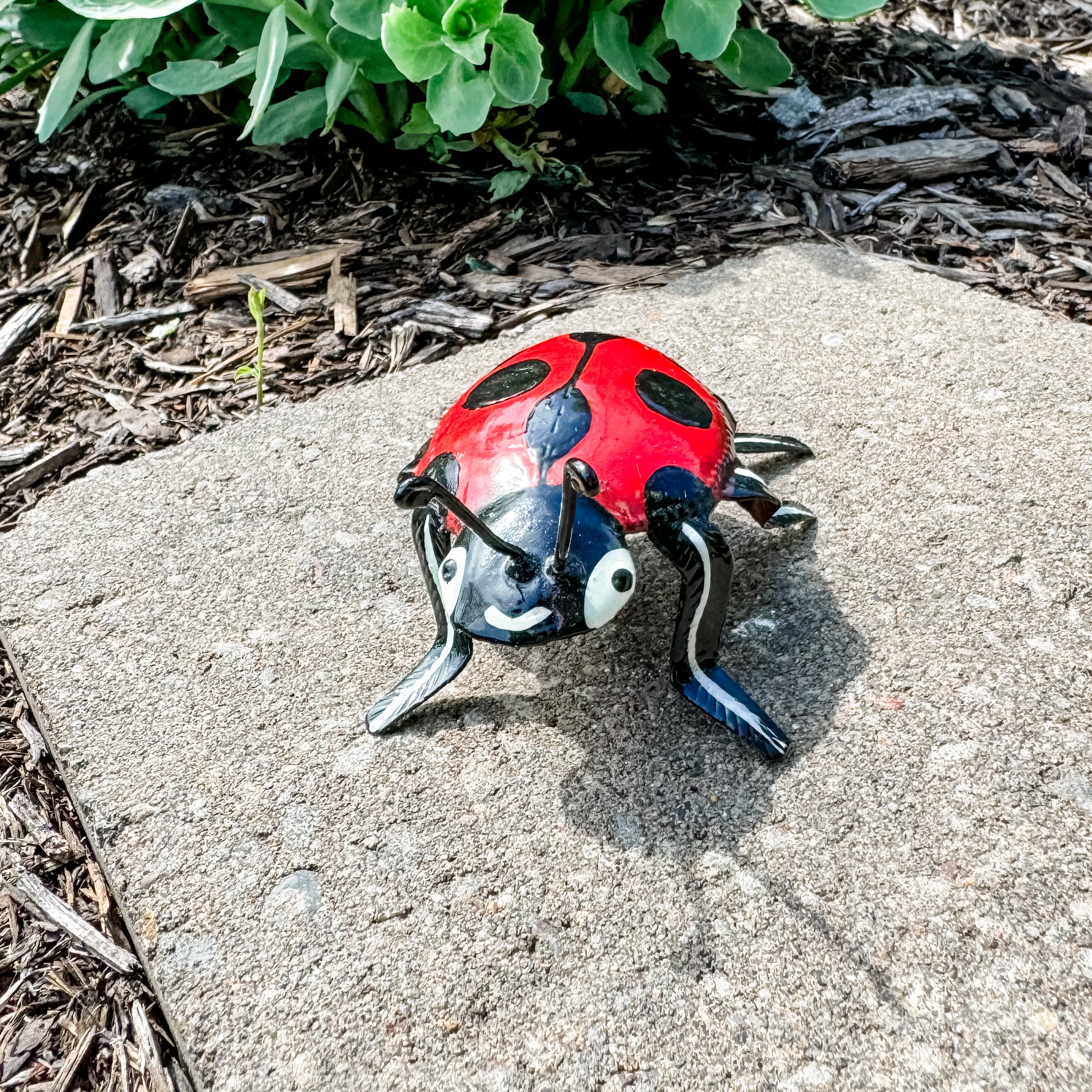 Oil Drum Ladybug - FMSCMarketplace.org