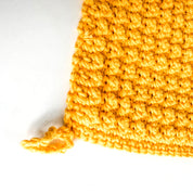 Scrub a Dub Dishcloth