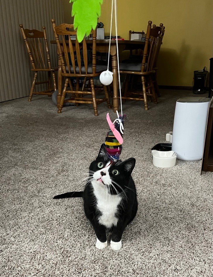 HandmadeCatToy1.jpg