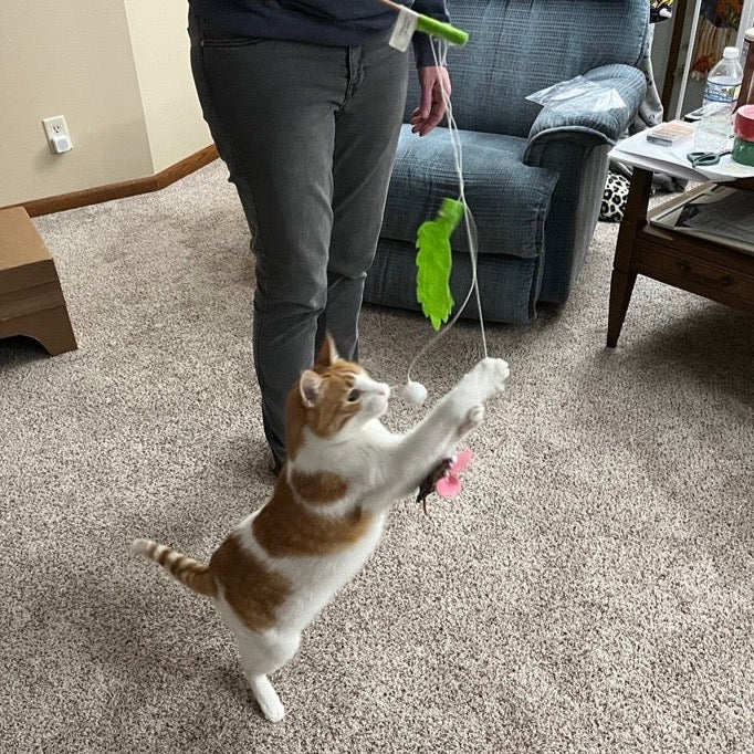 HandmadeCatToy2.jpg