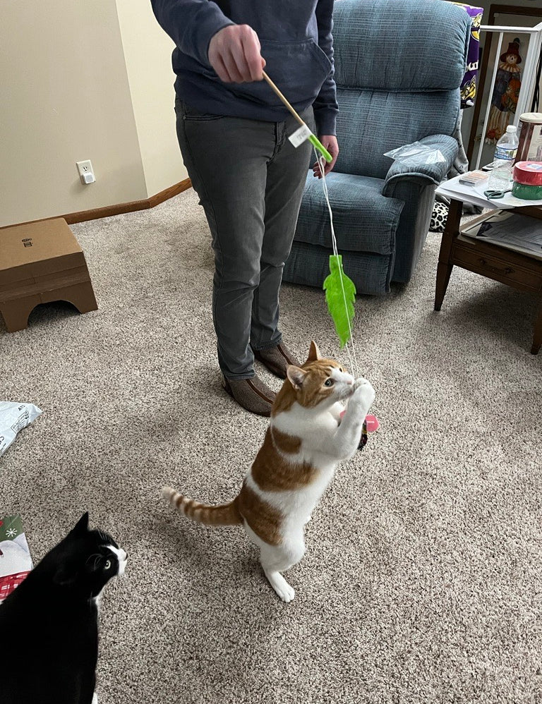 HandmadeCatToy3.jpg