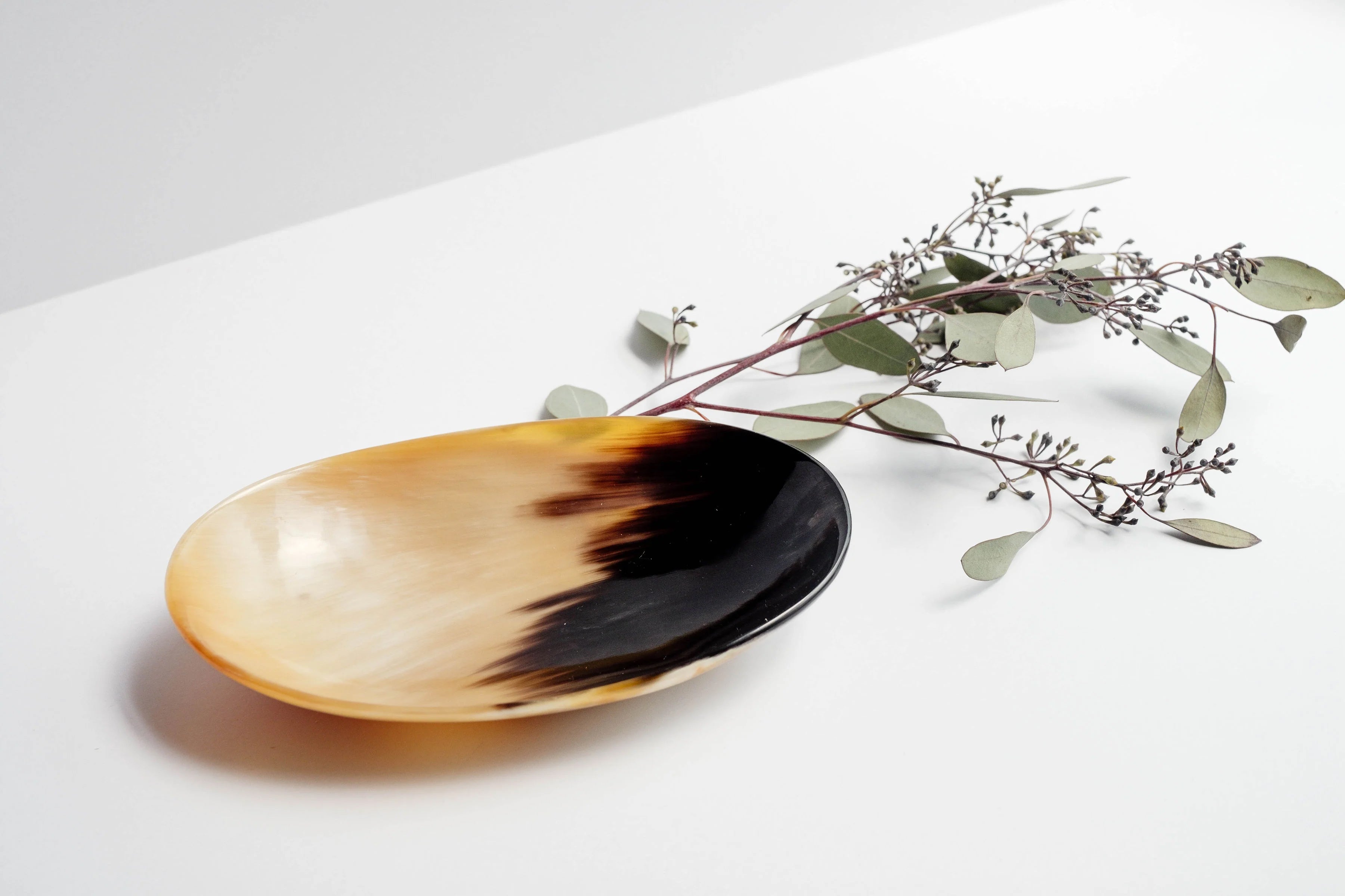 Horn-Dish4.jpg
