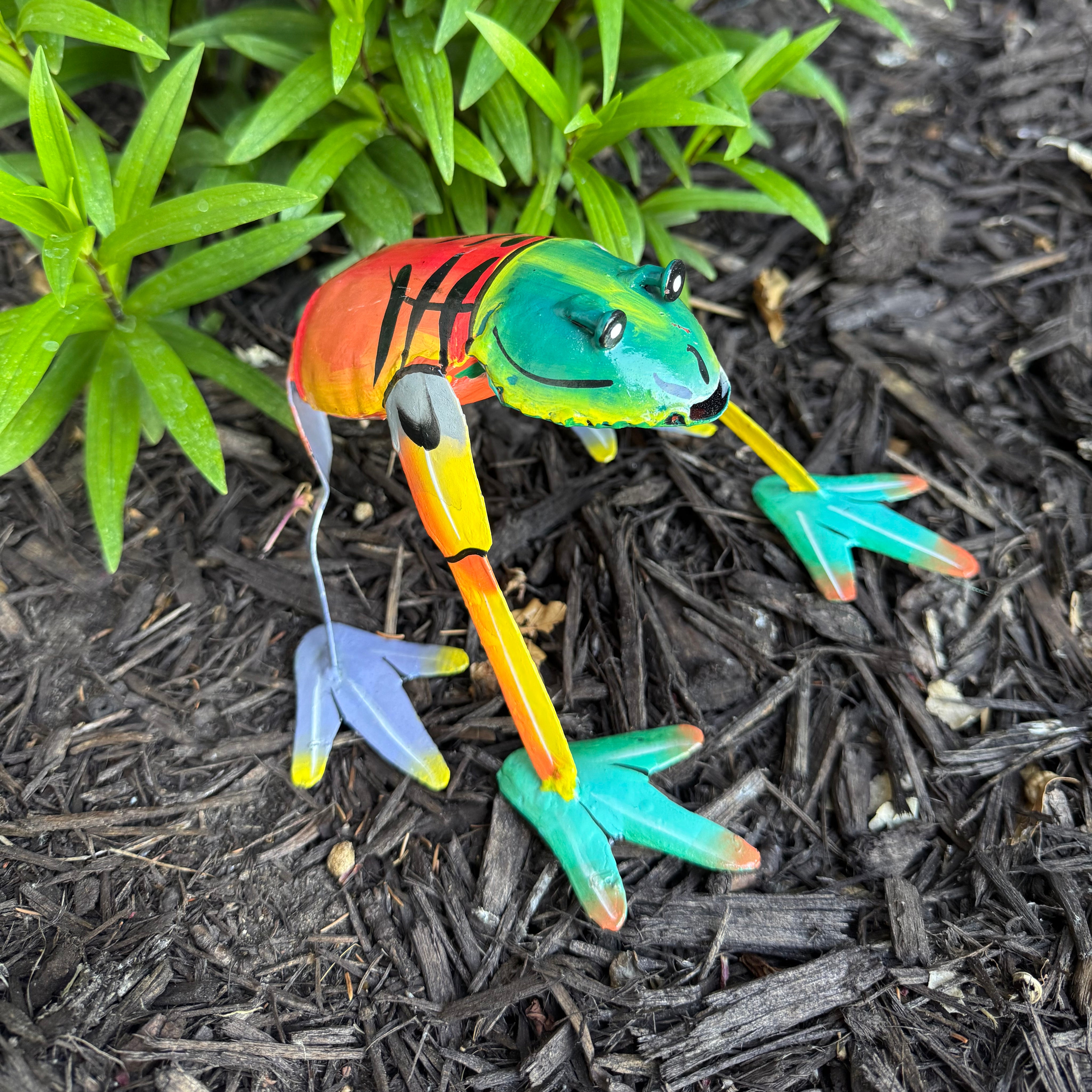 Colorful Garden Frog - FMSCMarketplace.org