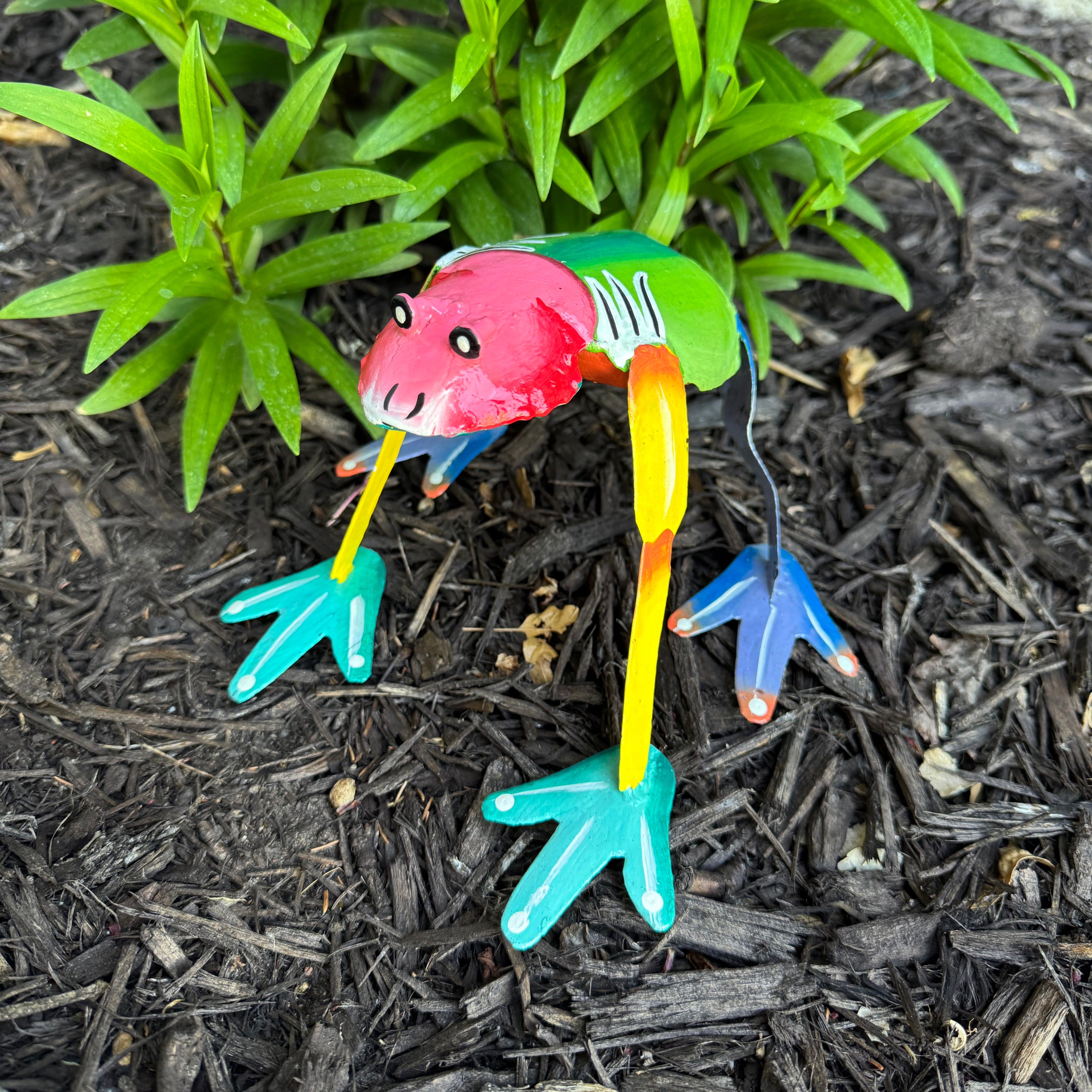 Colorful Garden Frog - FMSCMarketplace.org