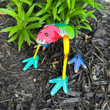 Colorful Garden Frog