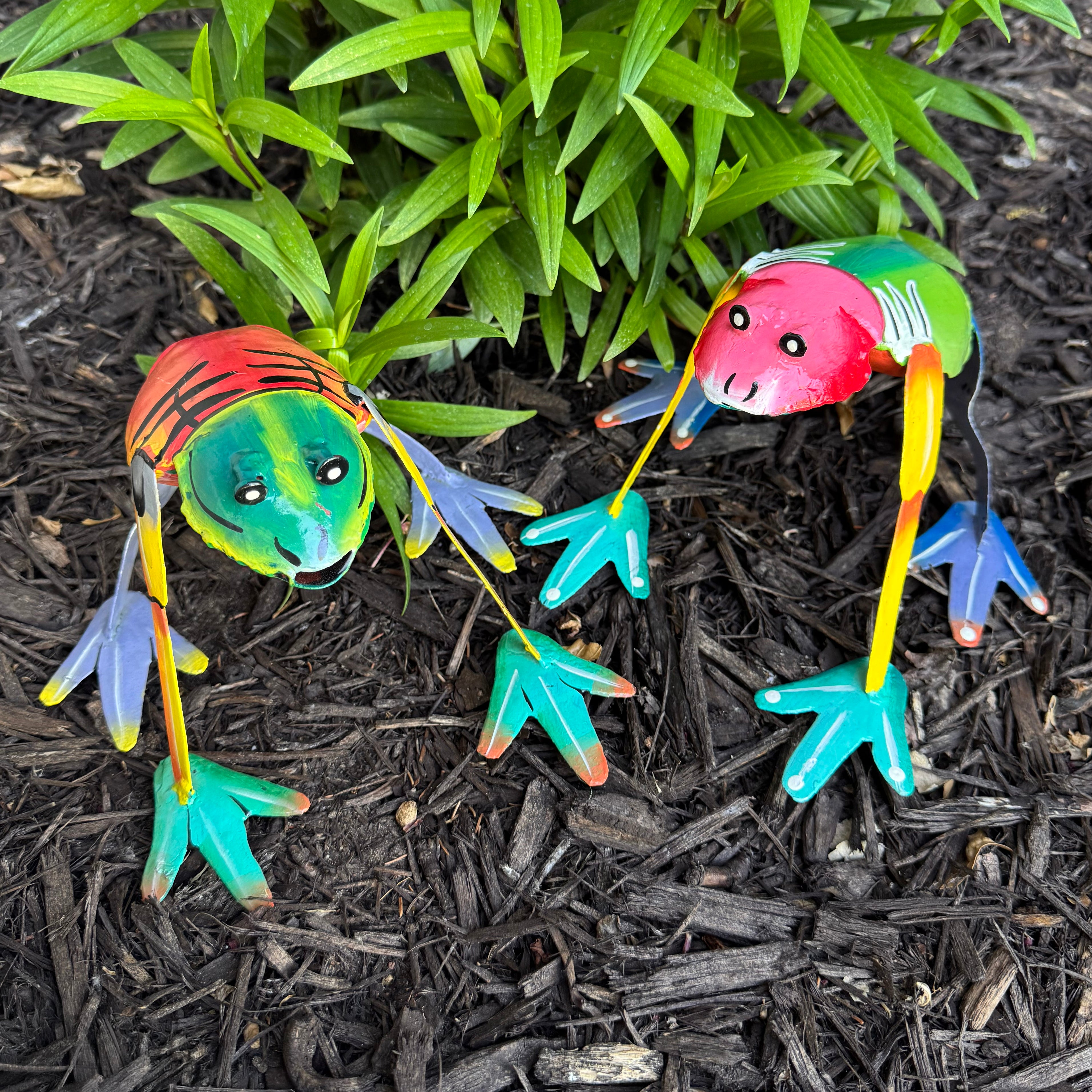 Colorful Garden Frog - FMSCMarketplace.org