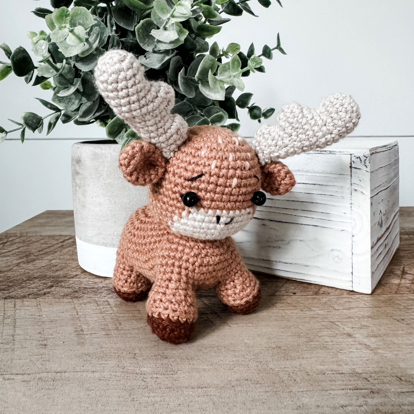 Mateo the Moose - FMSCMarketplace.org