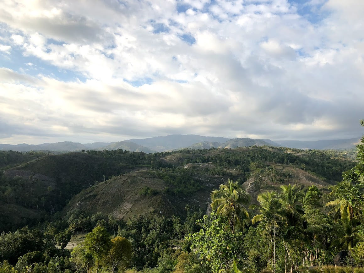Hilly Haitian landscape with greenery and a partly cloudy sky.