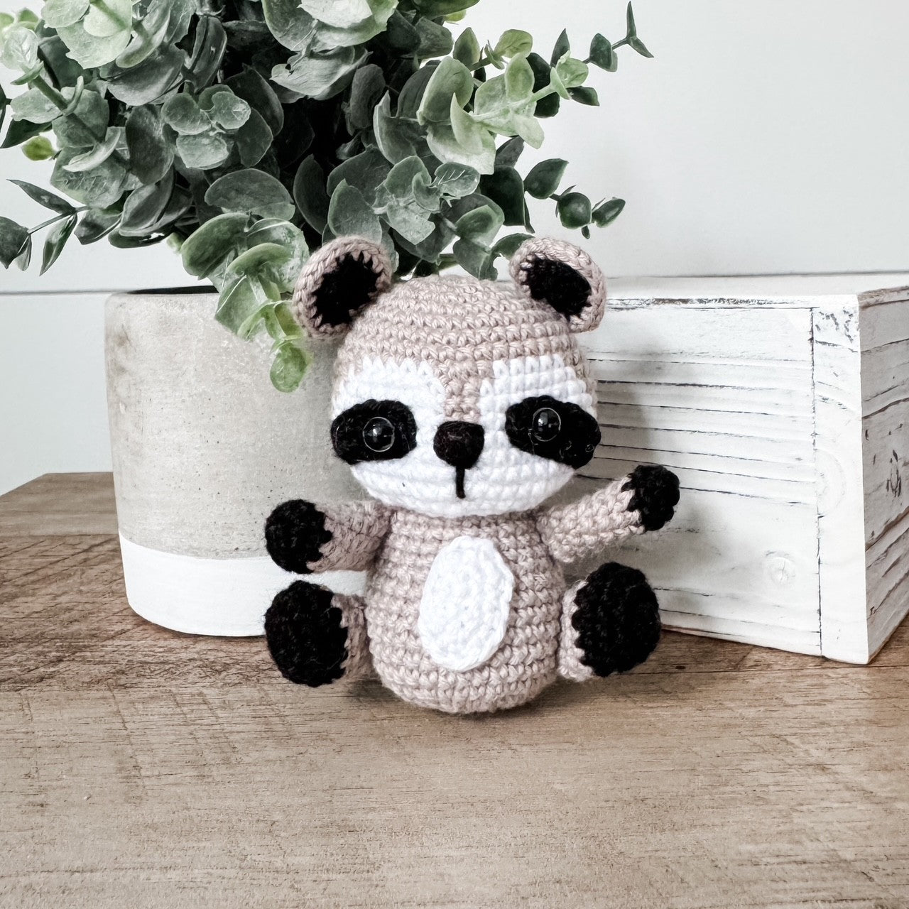 Nico the Raccoon - FMSCMarketplace.org