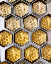 Beeswax Lotion Bar