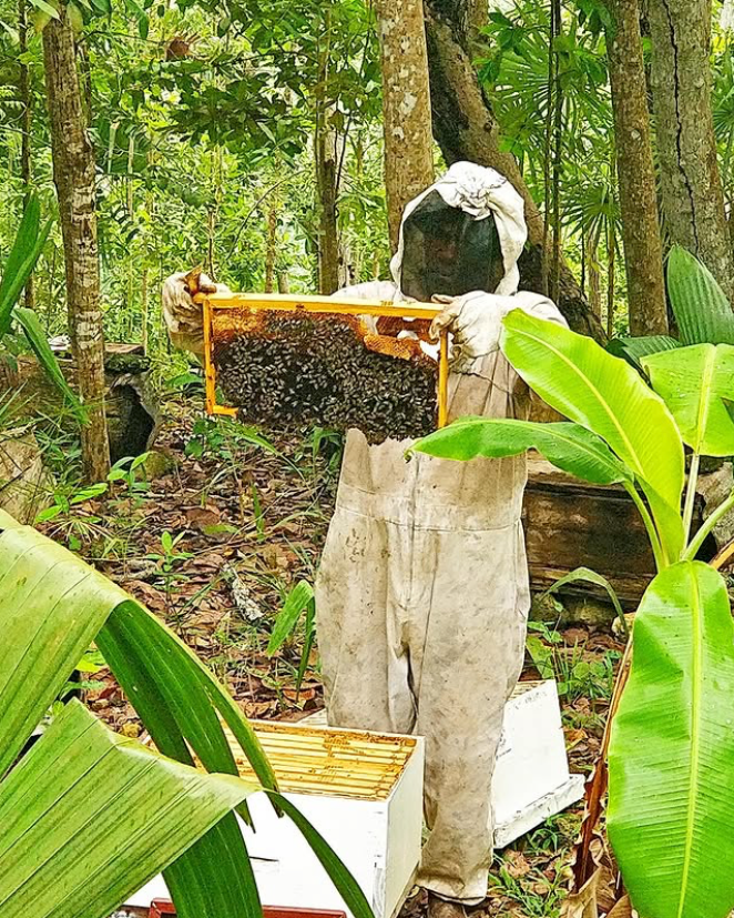 Beeswax Lip Balm