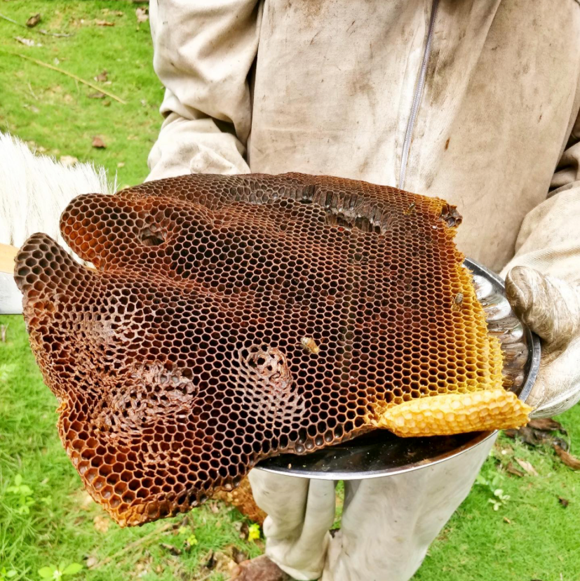 Beeswax Candle