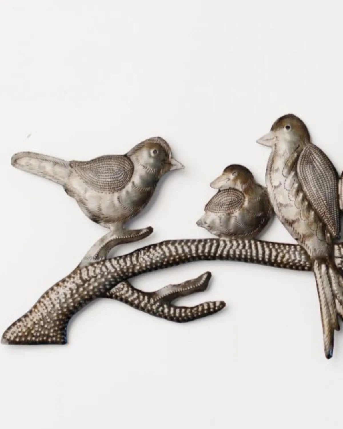 birdsonabranchcloseup_jpg.webp