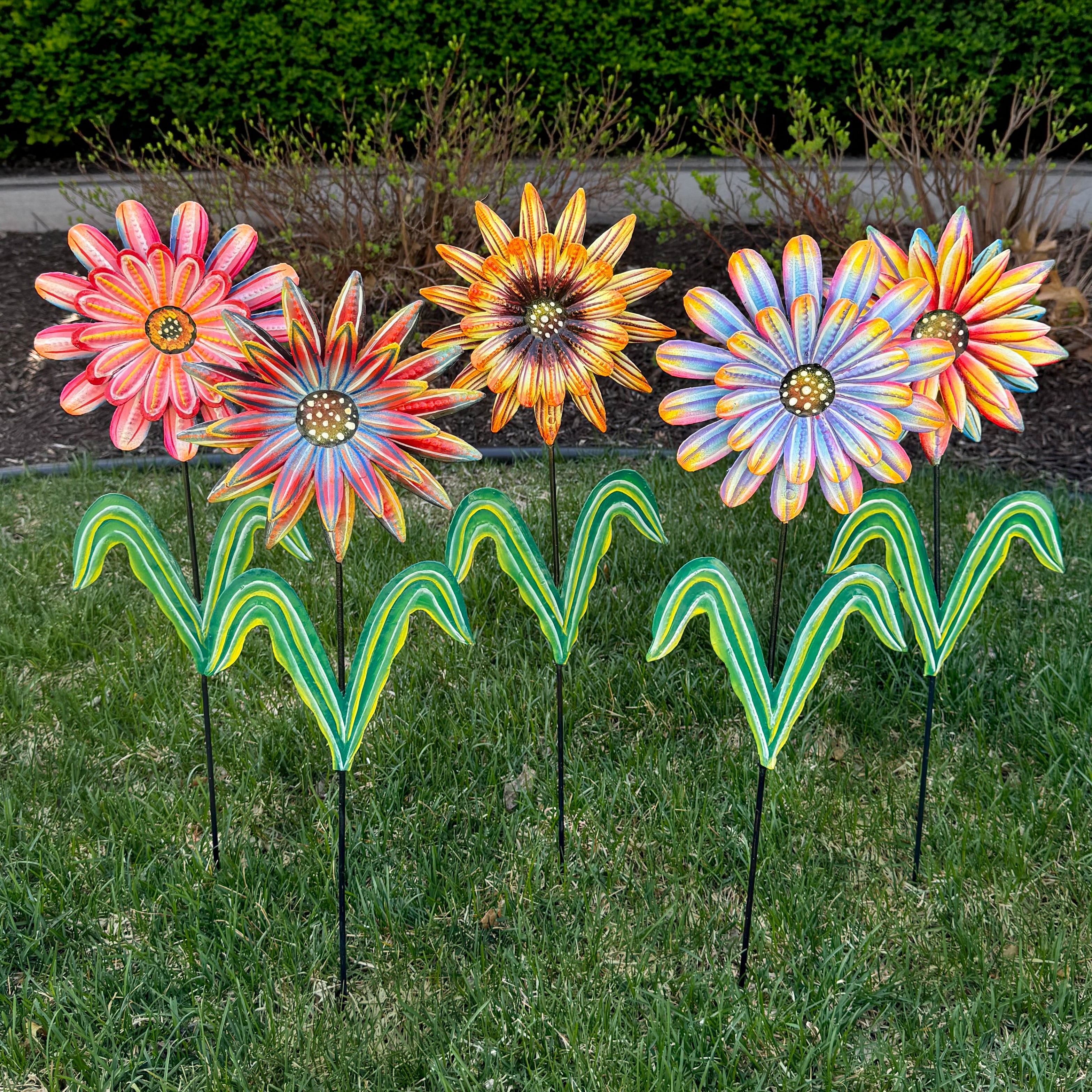 happy-bloom.jpg