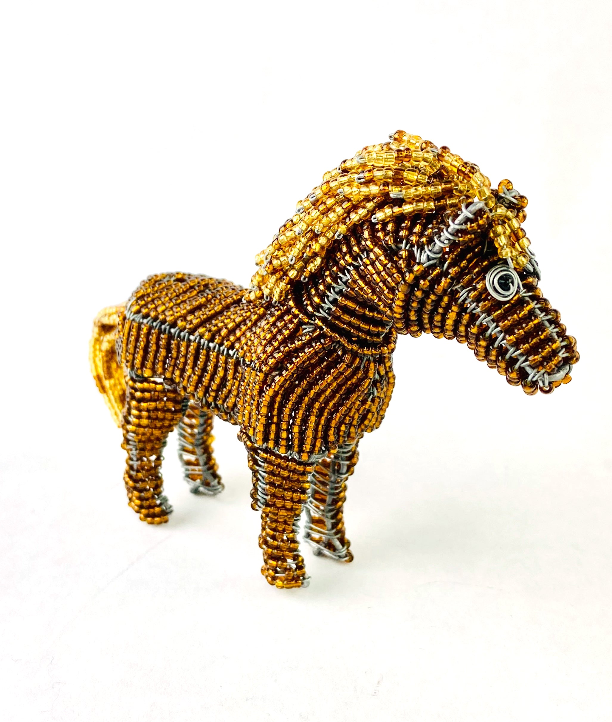 horse.jpg
