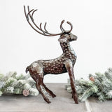 Stately Reindeer