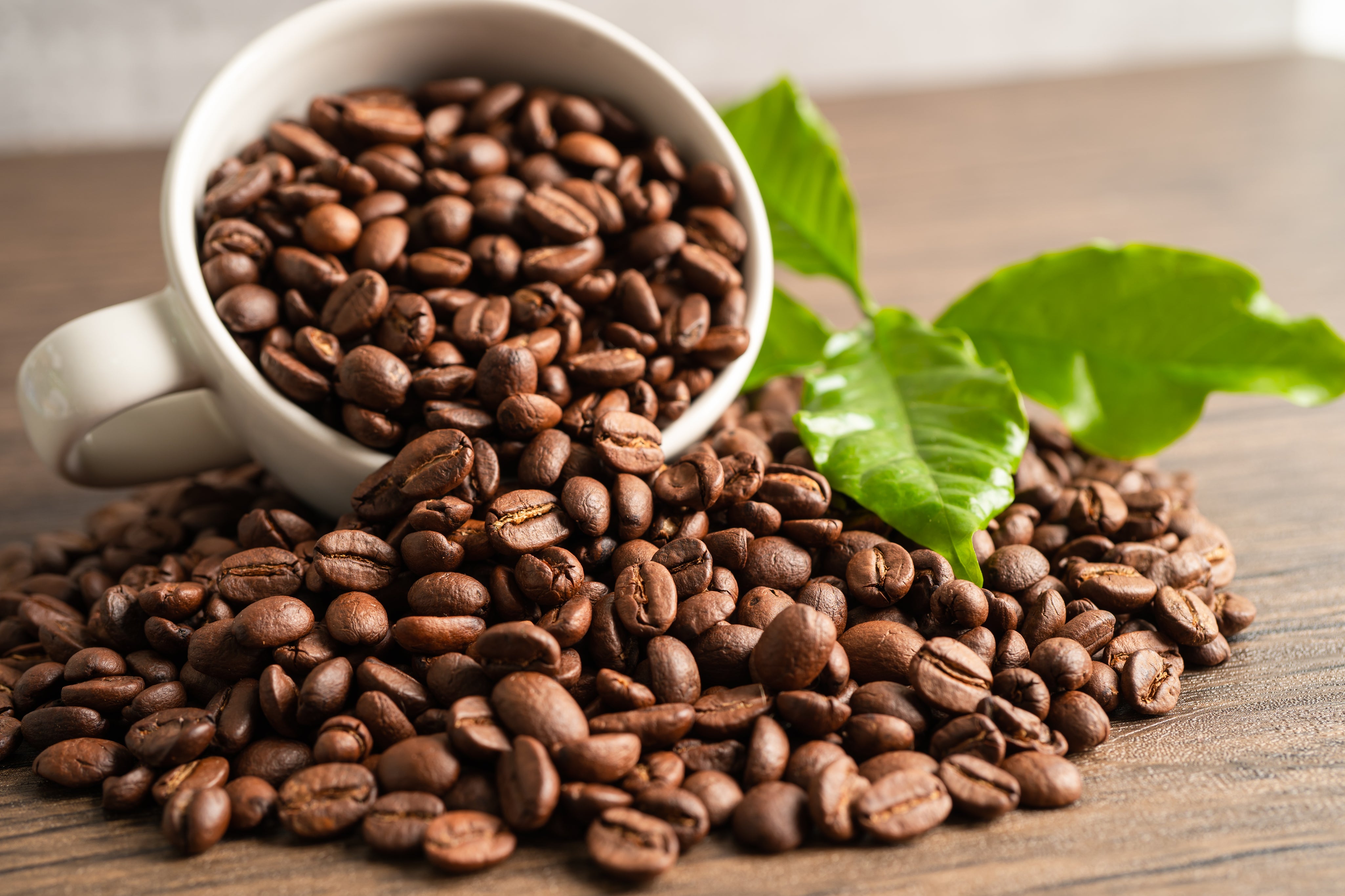 vecteezy_coffee-bean-in-cup-with-export-text-for-import-export-trade_17153688.jpg