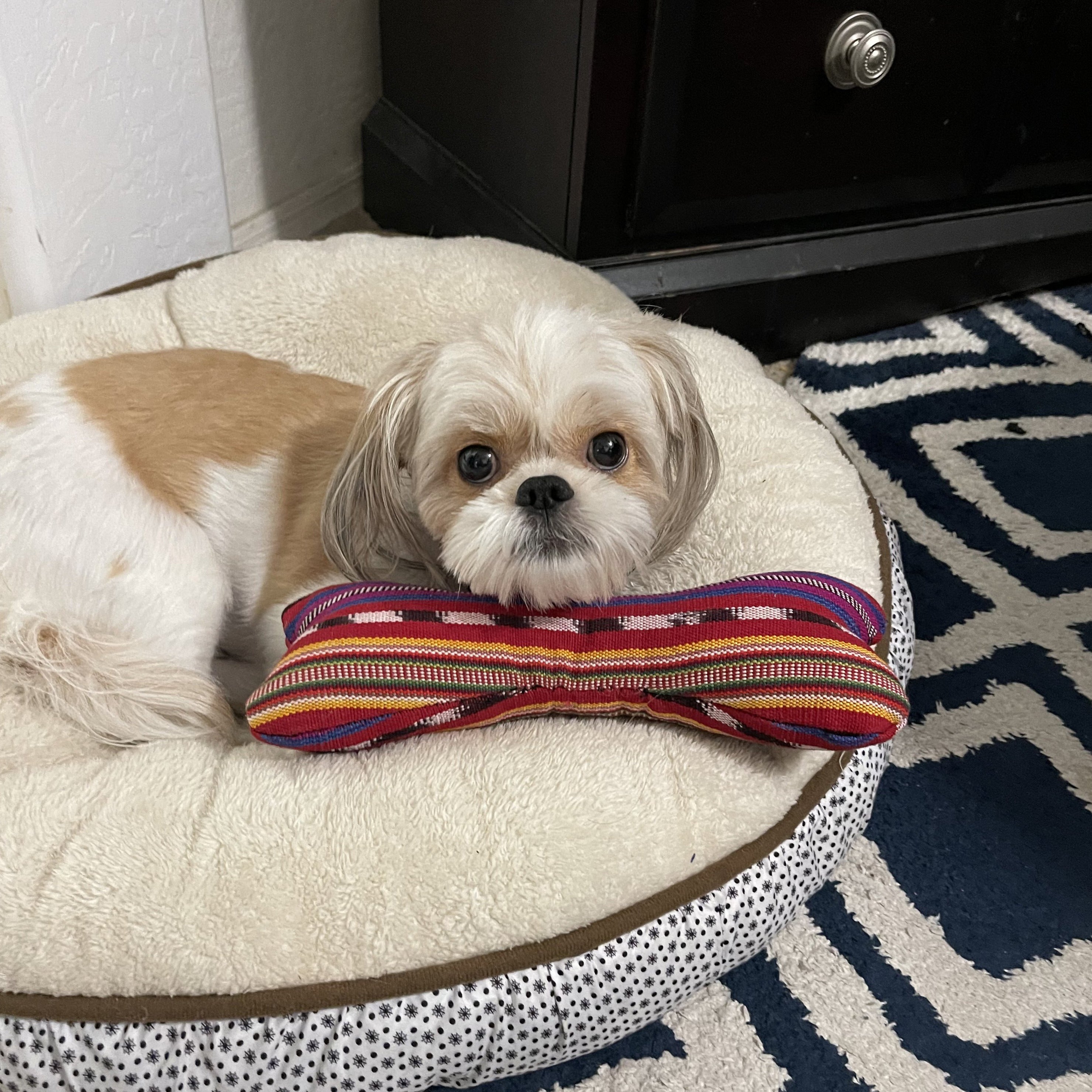 Dog Toy - FMSCMarketplace.org