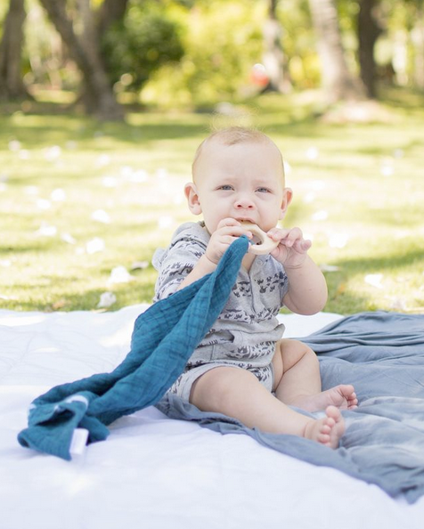 Muslin Lovey + Teether - FMSCMarketplace.org