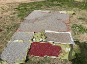 Redeemed Wall Cross - FMSCMarketplace.org