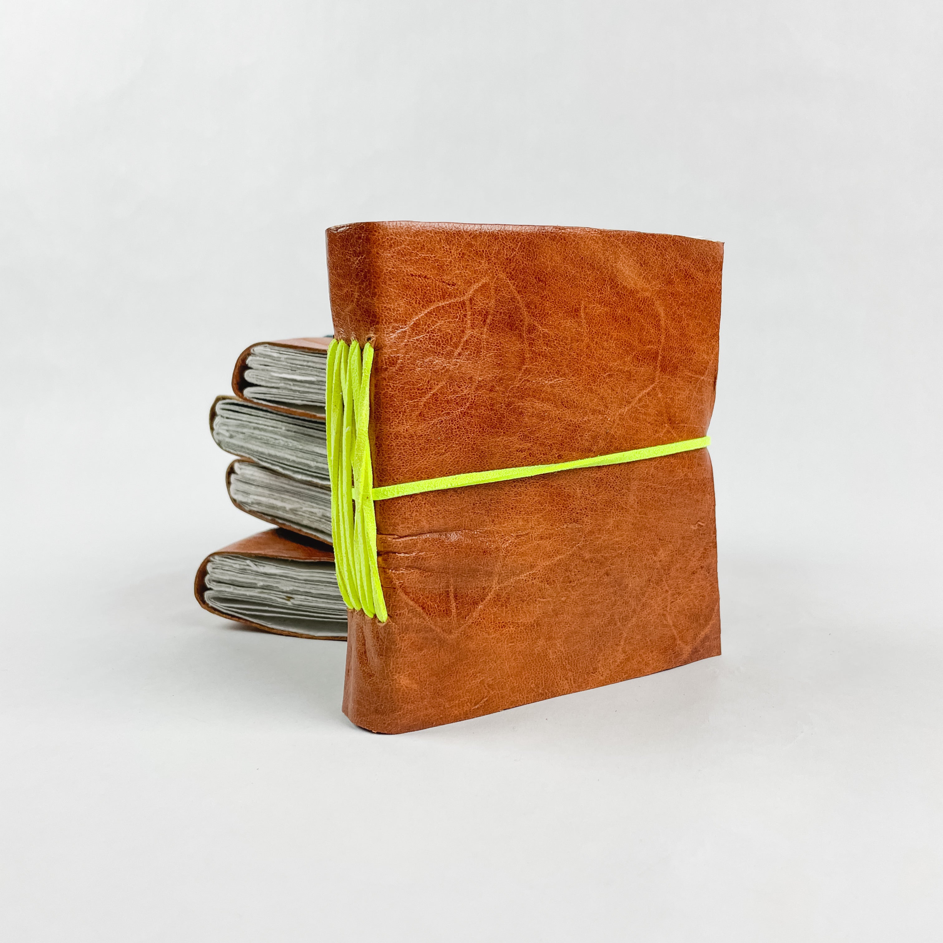 Color Splash Journal - FMSCMarketplace.org