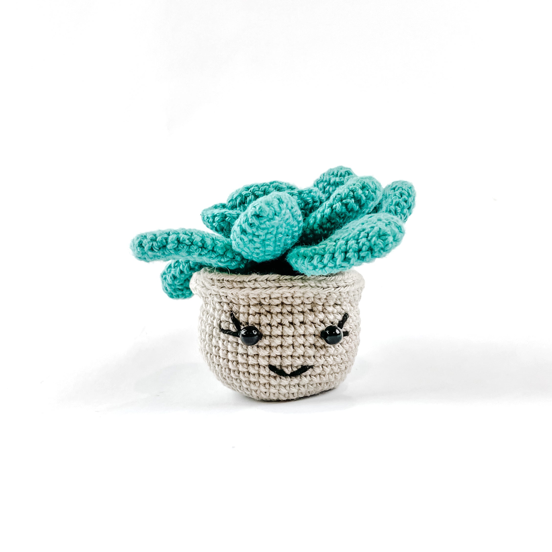 Amigurumi Mini Succulent - FMSCMarketplace.org