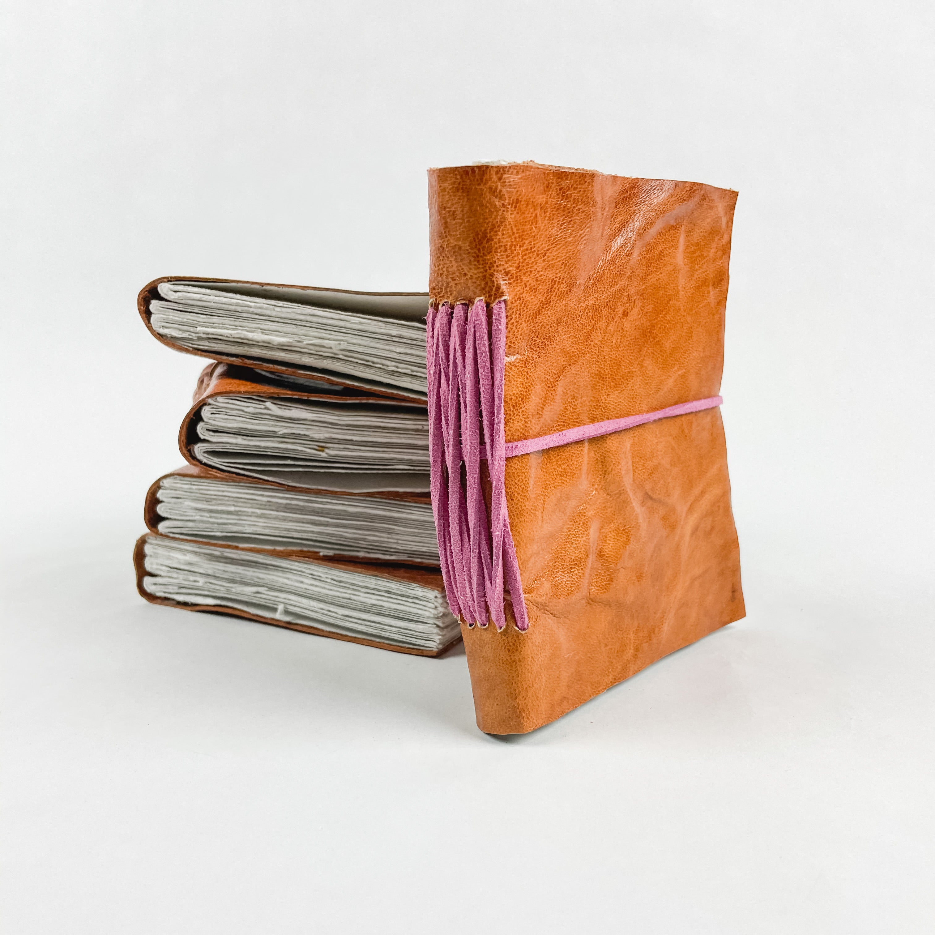 Color Splash Journal - FMSCMarketplace.org