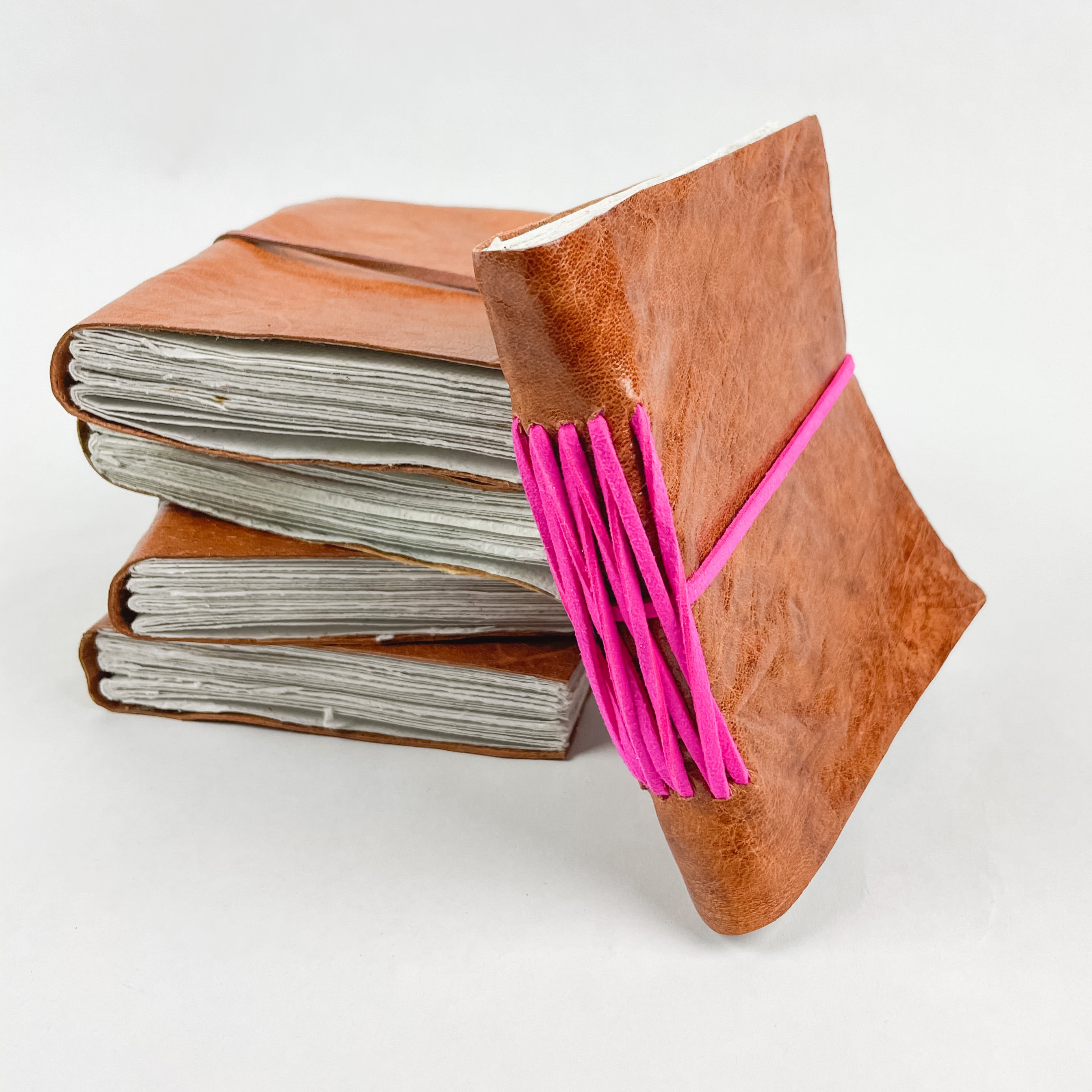 Color Splash Journal - FMSCMarketplace.org
