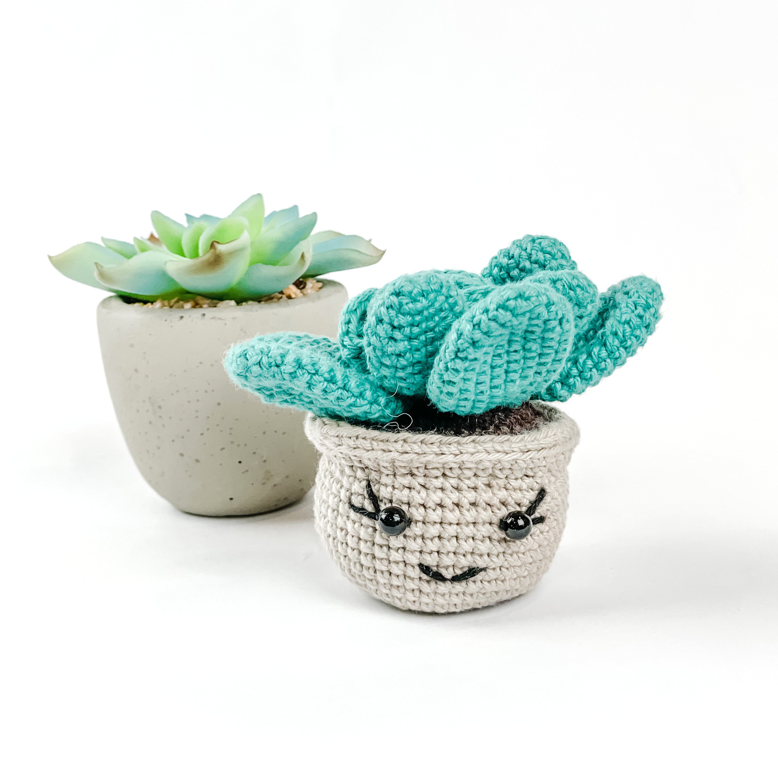 Amigurumi Mini Succulent - FMSCMarketplace.org