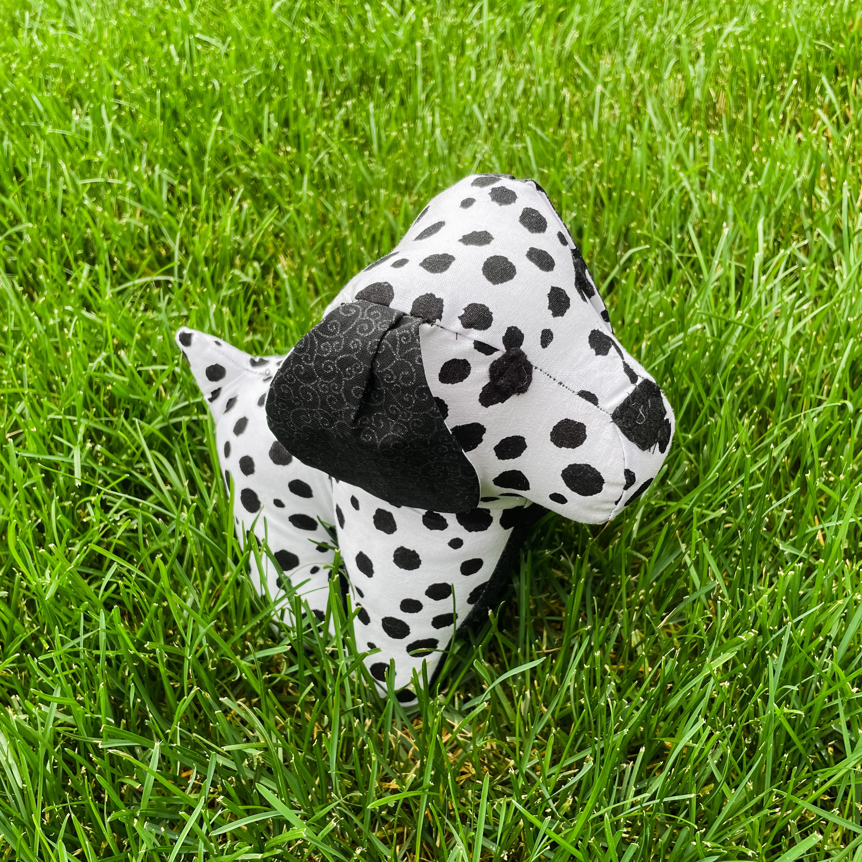 Dalmation Puppy - FMSCMarketplace.org