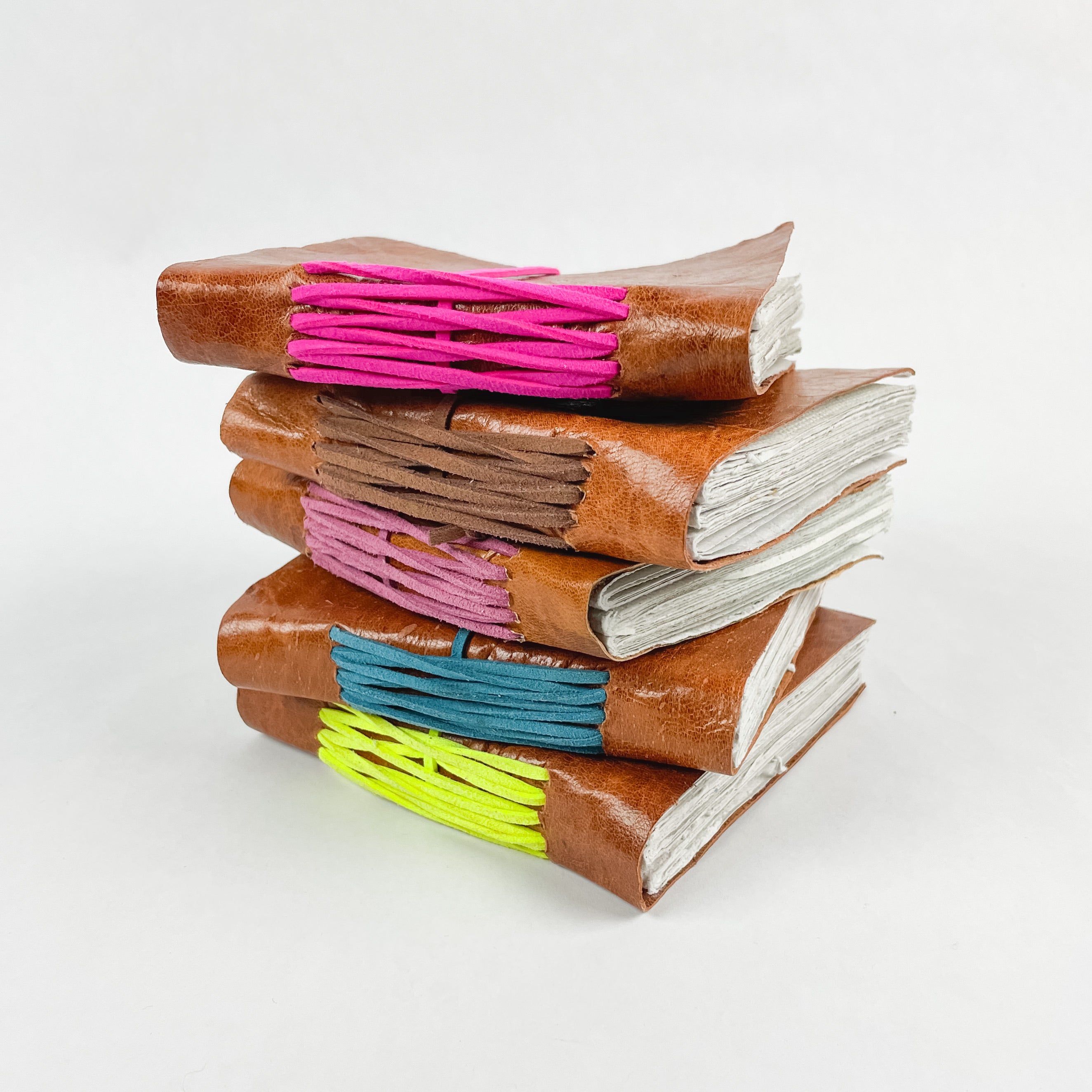 Color Splash Journal - FMSCMarketplace.org