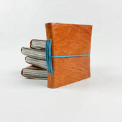 Color Splash Journal - FMSCMarketplace.org